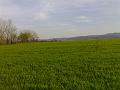 200704091791 